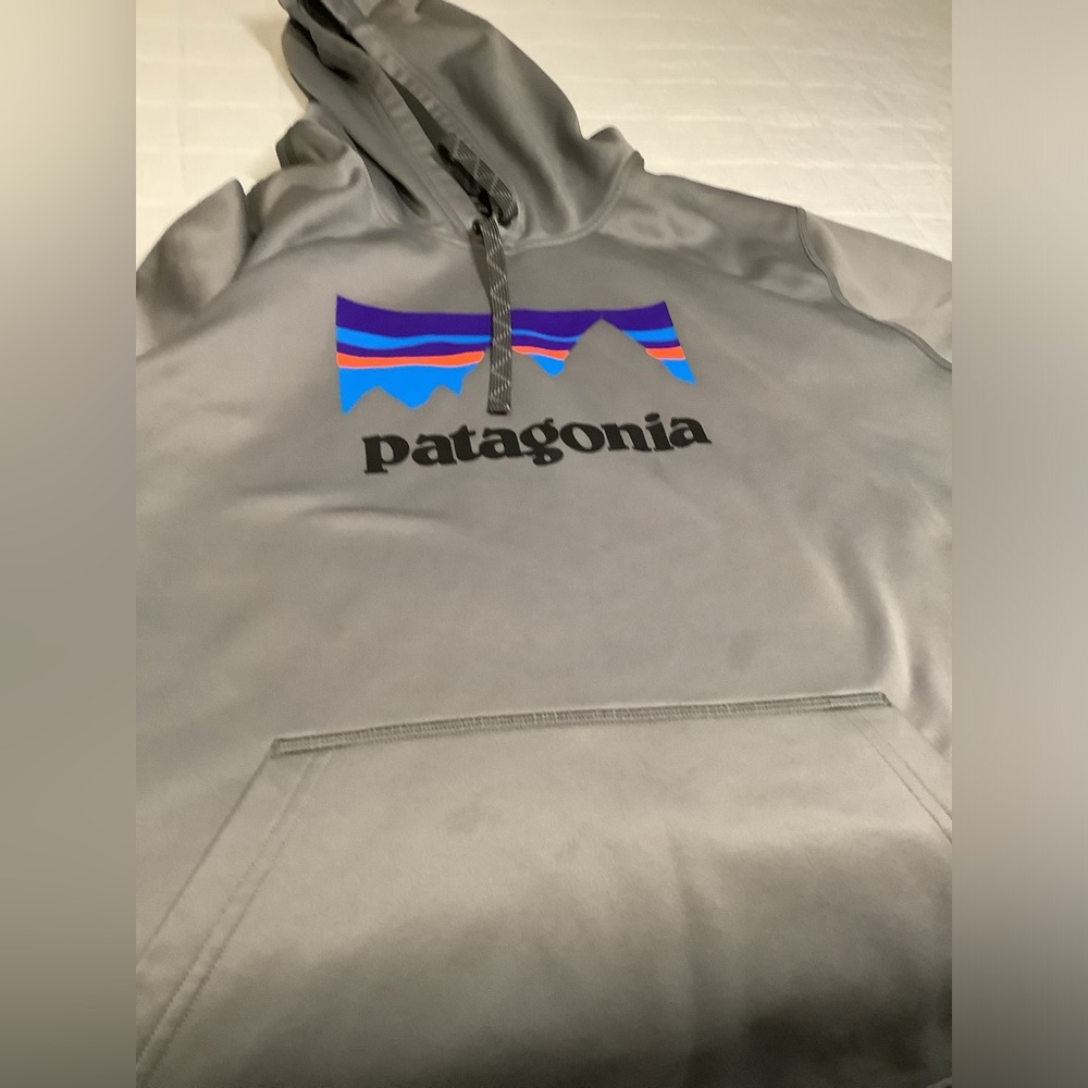 Patagonia Mens Xl Hoodie